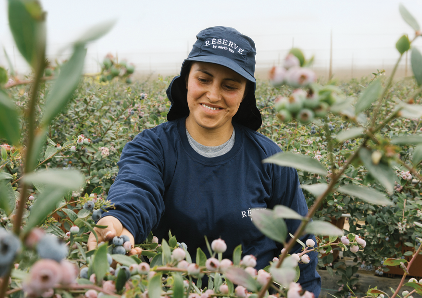 A Farmer-Focused Transformation